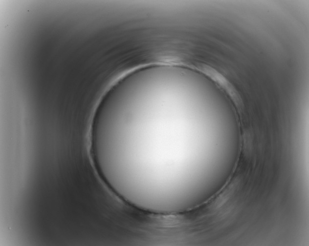 X0000089831432200707051030