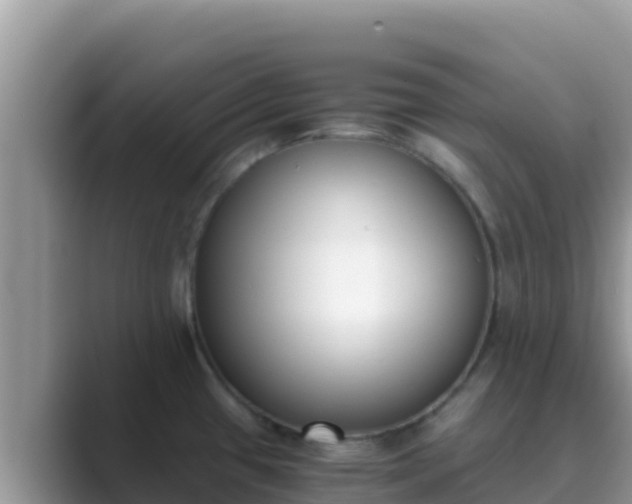 X0000089831433200707051030