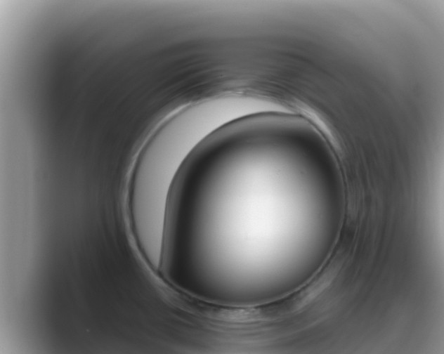 X0000089831434200707051030