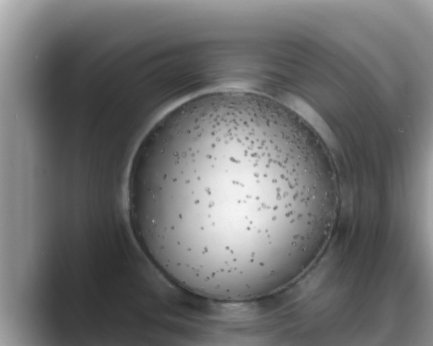 X0000089831436200707051030