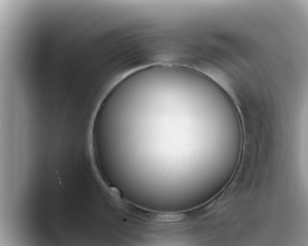 X0000089831440200707051030