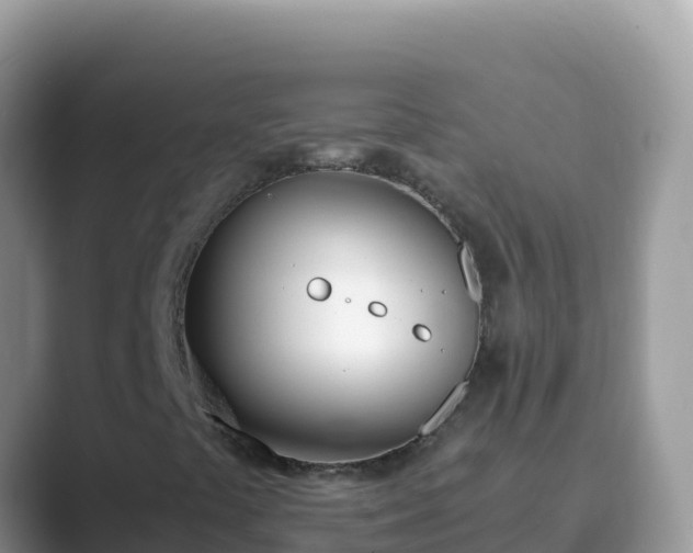 X0000089831441200707051030