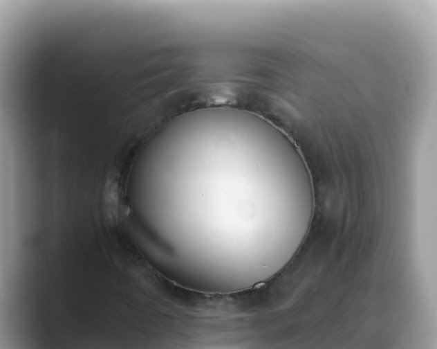 X0000089831442200707051030