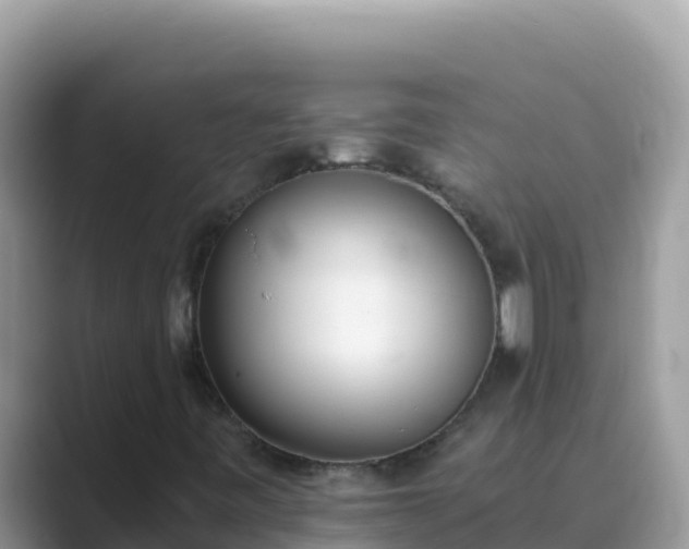 X0000089831443200707051030