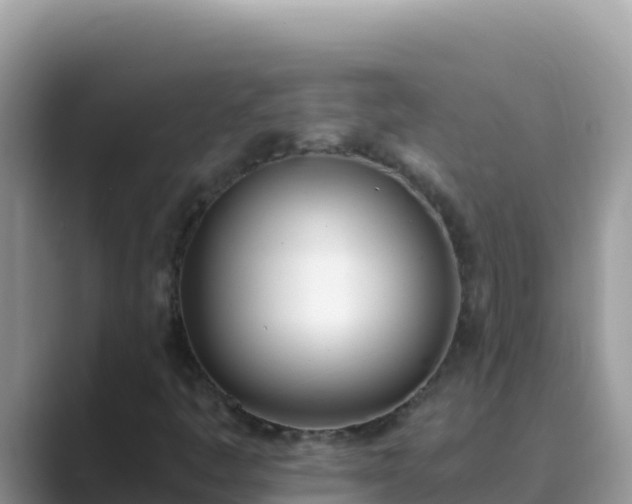 X0000089831445200707051030