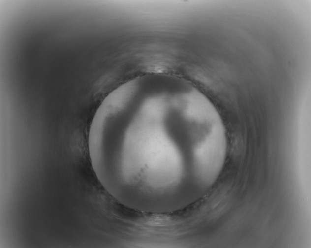 X0000089831446200707051030