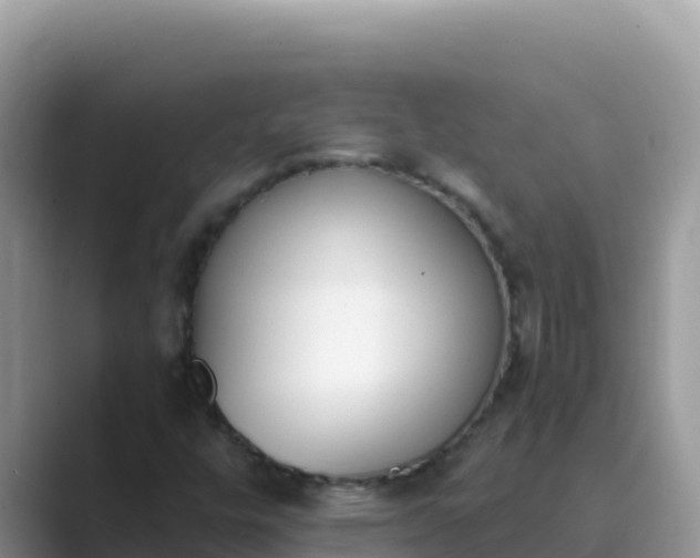 X0000089831448200707051030