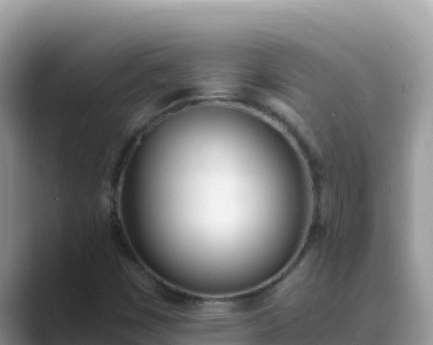 X0000089831449200707051030