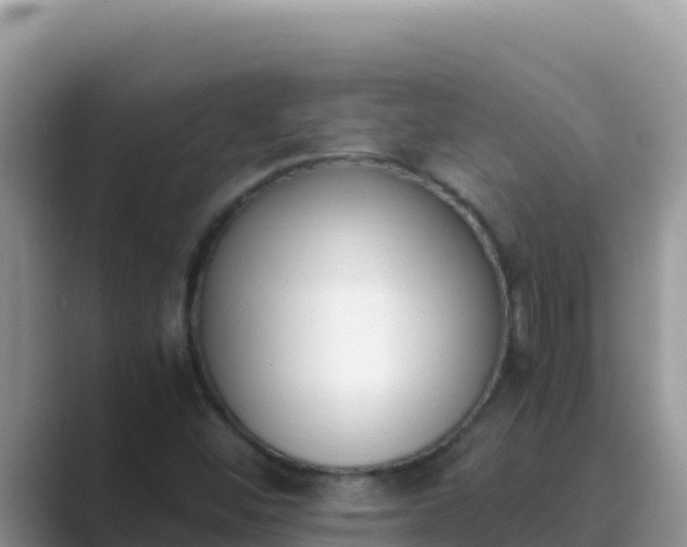 X0000089831452200707051030