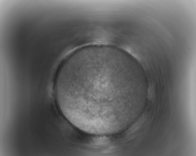 X0000089831454200707051030