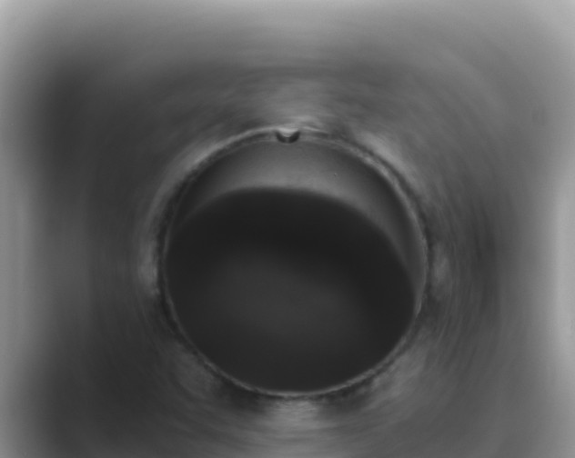 X0000089831455200707051030