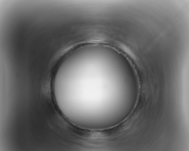 X0000089831456200707051030