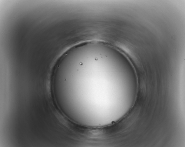 X0000089831460200707051030