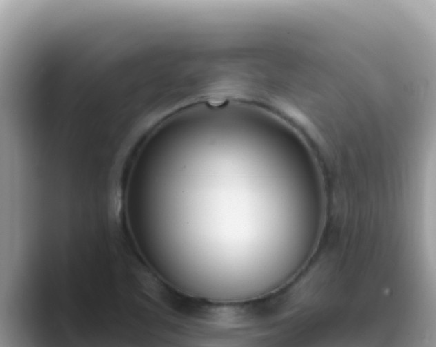 X0000089831461200707051030