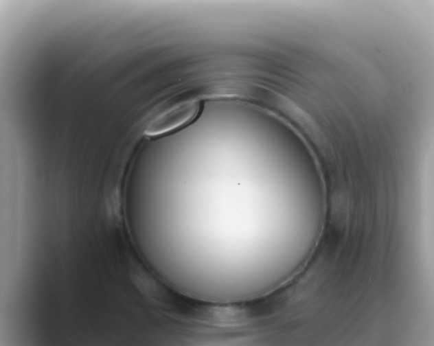 X0000089831465200707051030