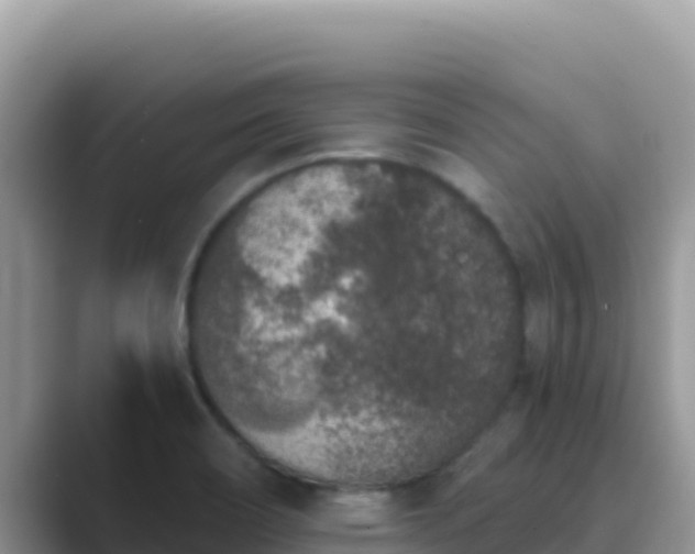 X0000089831466200707051030