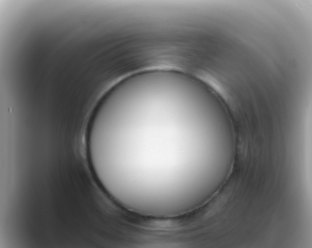 X0000089831468200707051030