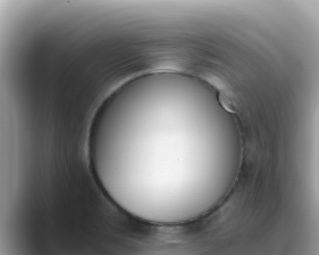 X0000089831469200707051030