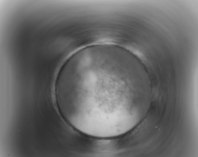 X0000089831470200707051030