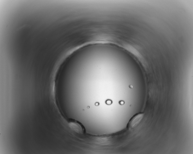 X0000089831472200707051030