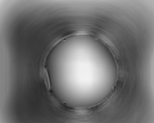 X0000089831473200707051030