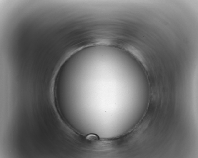 X0000089831475200707051030