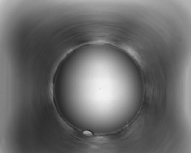 X0000089831476200707051030