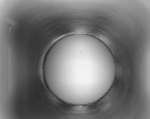 X0000089831478200707051029