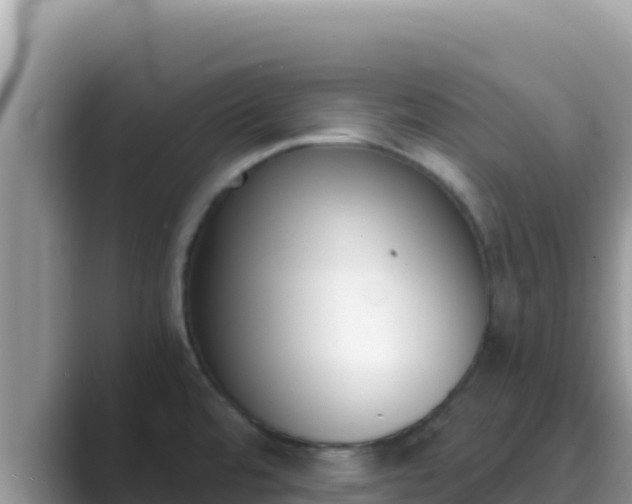 X0000089831480200707051029