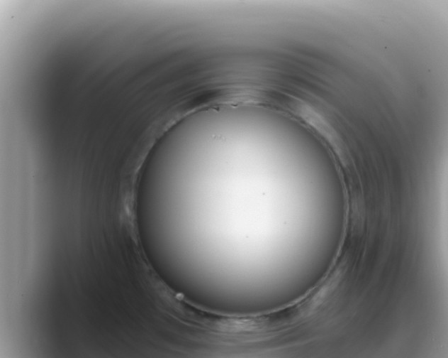 X0000089831481200707051029