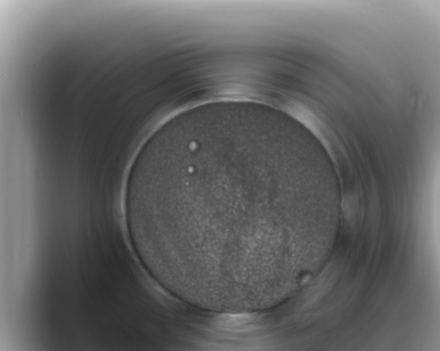 X0000089831482200707051029