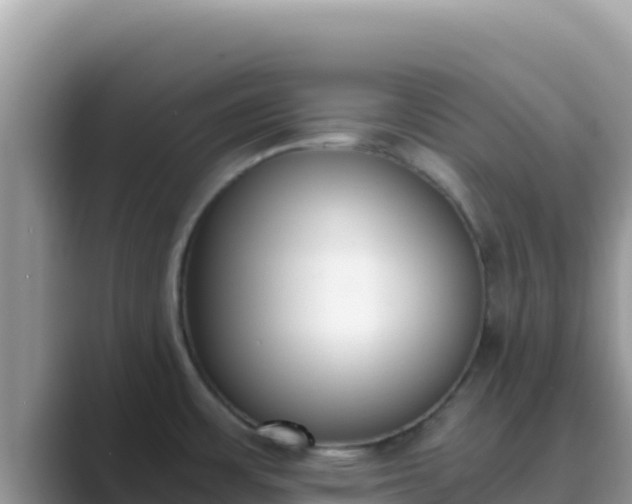 X0000089831483200707051029