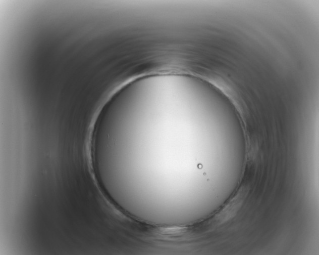 X0000089831486200707051029