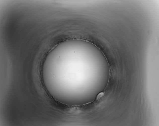 X0000089831489200707051029