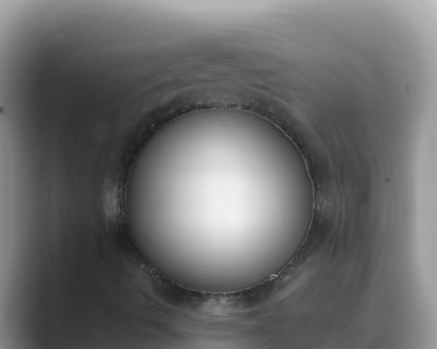 X0000089831490200707051029