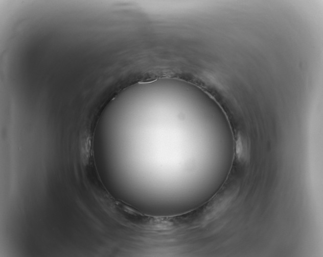 X0000089831492200707051029