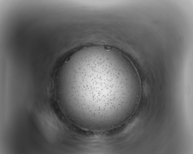 X0000089831494200707051029