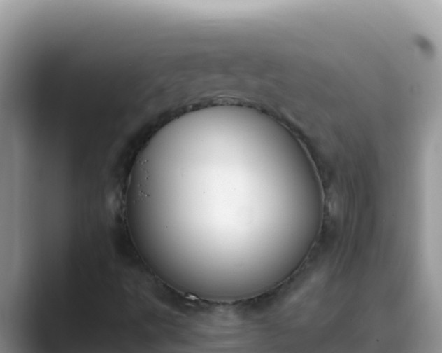 X0000089831495200707051029
