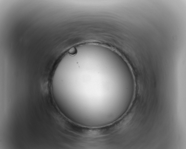 X0000089831497200707051029