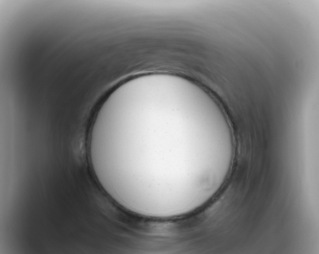 X0000089831498200707051029