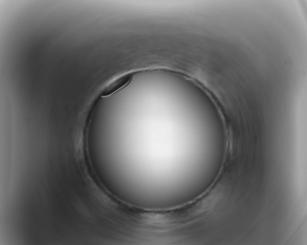 X0000089831500200707051029