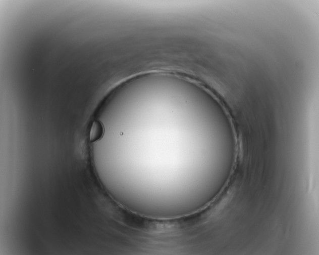 X0000089831501200707051029