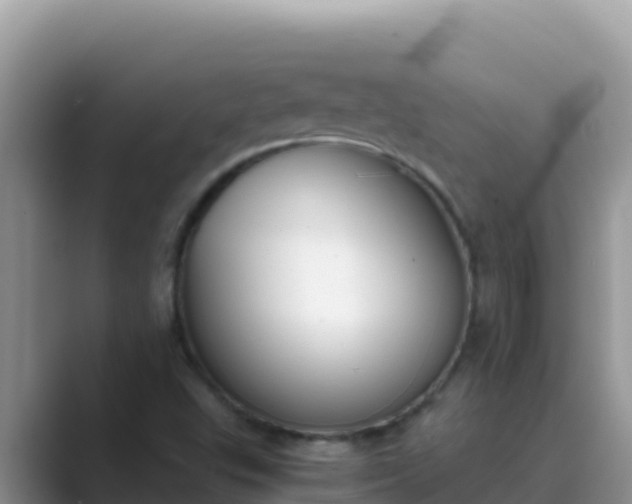 X0000089831503200707051029