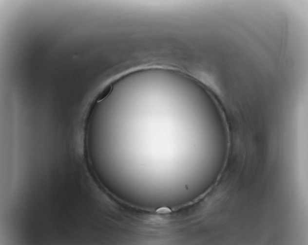 X0000089831504200707051029