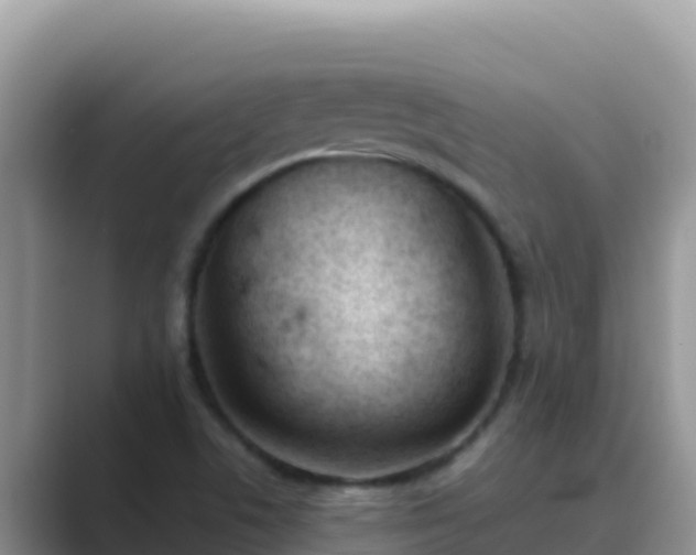 X0000089831506200707051029