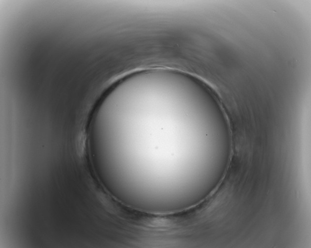 X0000089831507200707051029