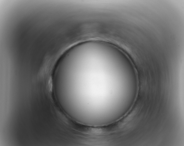 X0000089831509200707051029