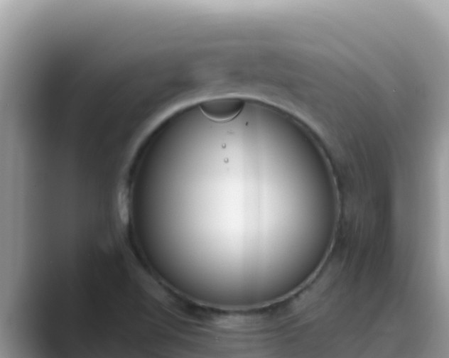 X0000089831510200707051029
