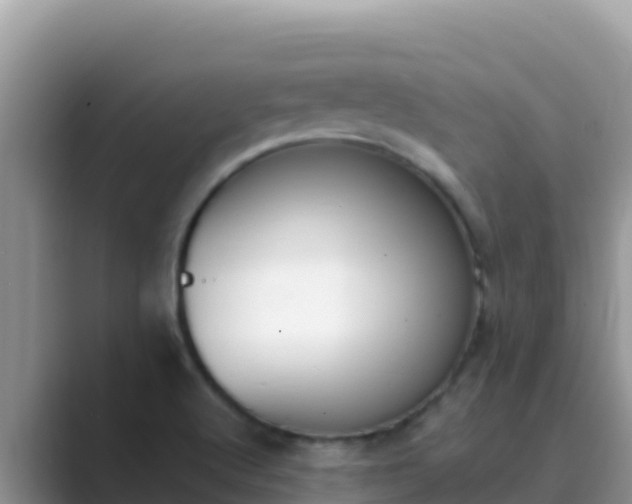 X0000089831512200707051029