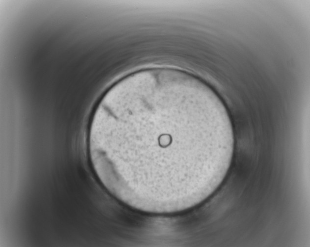 X0000089831514200707051029